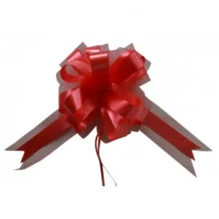 Badaboum Noeud En Tulle Rouge 50Cm X2 Discount