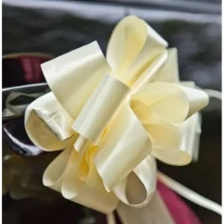 Badaboum Noeud En Tulle Rouge 50Cm X2 Discount