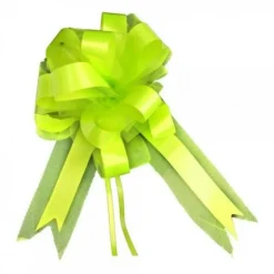 Badaboum Noeud En Tulle Vert Anis 50Cm X2 Hot