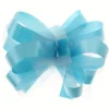 Badaboum Noeud Mariage Automatique En Tulle Turquoise X 5 Pi Ces Online
