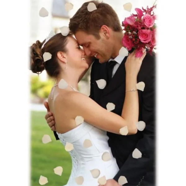 Badaboum P Tale De Rose X 100 Pi Ces Discount