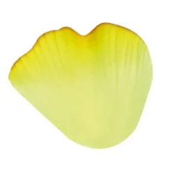 Badaboum P Tale De Rose X 100 Pi Ces Discount