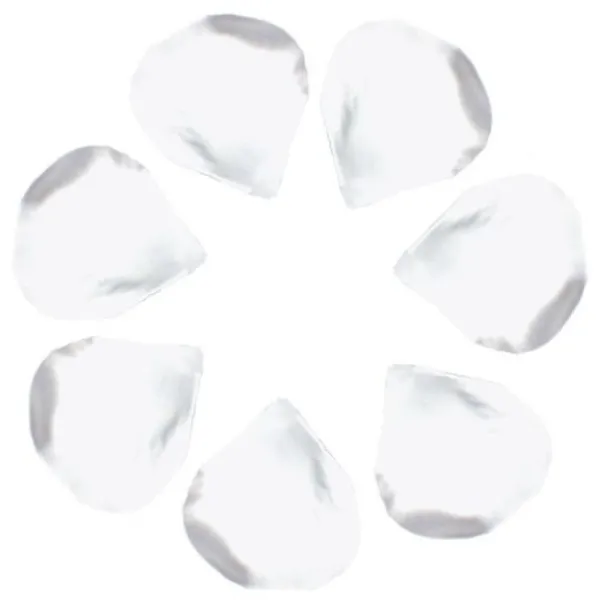 Badaboum P Tale De Rose X 100 Pi Ces Discount