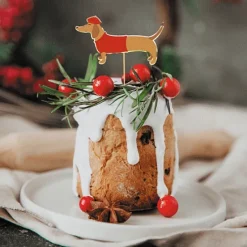 Badaboum Pics Cocktails Chien Teckel X10 Pi Ces Best