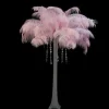 Badaboum Plume D'Autruche Rose G Ante 55-60Cm