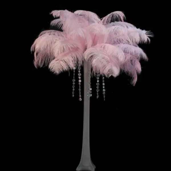 Badaboum Plume D'Autruche Rose G Ante 55-60Cm