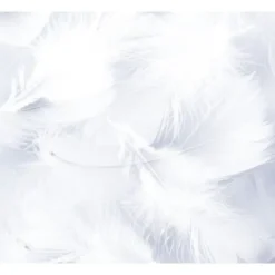 Badaboum Plume De D Coration Blanc X 30 Pi Ces