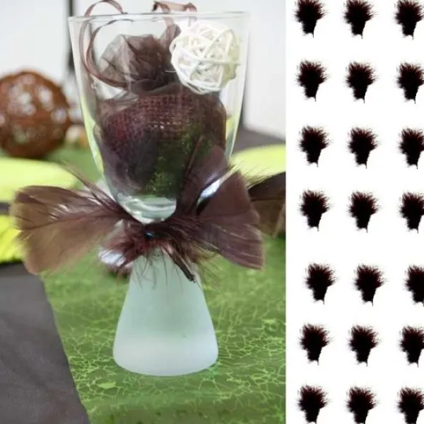 Badaboum Plume De D Coration Chocolat X 20 Pi Ces