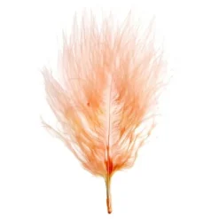 Badaboum Plume De D Coration Corail 7Cm X 20 Pi Ces