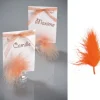 Badaboum Plume De D Coration Orange 7Cm X 20 Pi Ces