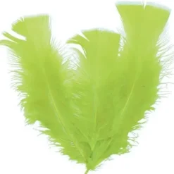 Badaboum Plume De D Coration Vert Anis 13 Cm X 30 Pi Ces