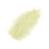 Badaboum Plume De Décoration 7 Cm X 20 Pi Ces Clearance