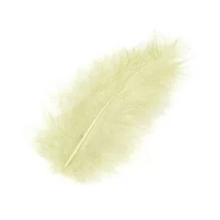 Badaboum Plume De Décoration 7 Cm X 20 Pi Ces Clearance