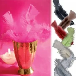 Badaboum Plume De Décoration 7 Cm X 20 Pi Ces Clearance