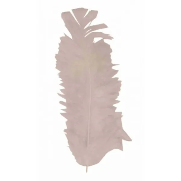 Badaboum Plume De Décoration 7 Cm X 20 Pi Ces Clearance