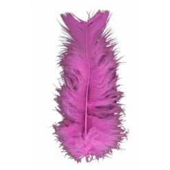 Badaboum Plume De Décoration 7 Cm X 20 Pi Ces Clearance