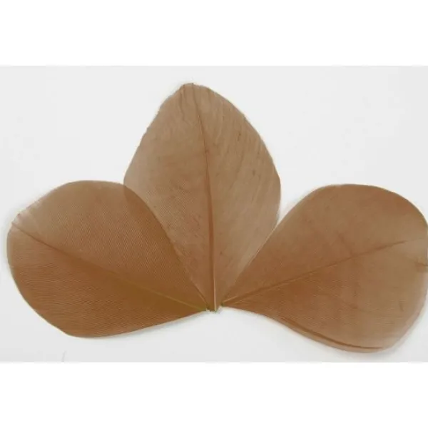 Badaboum Plume Feuille Chocolat X 96 Pi Ces