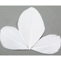 Badaboum Plume Feuille Pas Cher X 96 Pi Ces