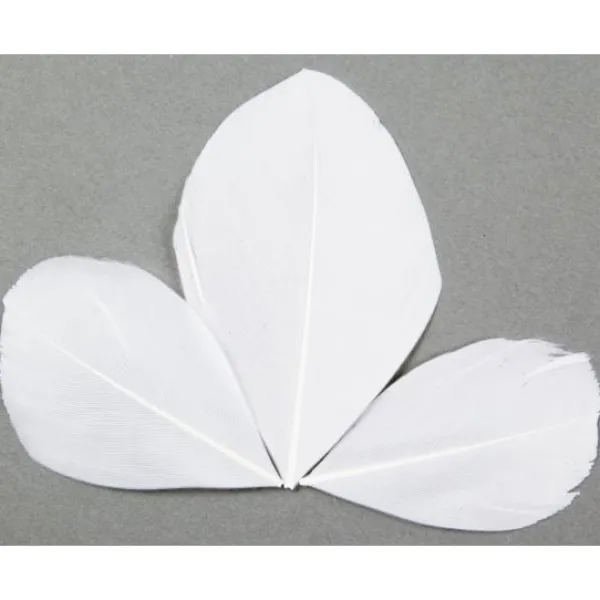 Badaboum Plume Feuille Pas Cher X 96 Pi Ces