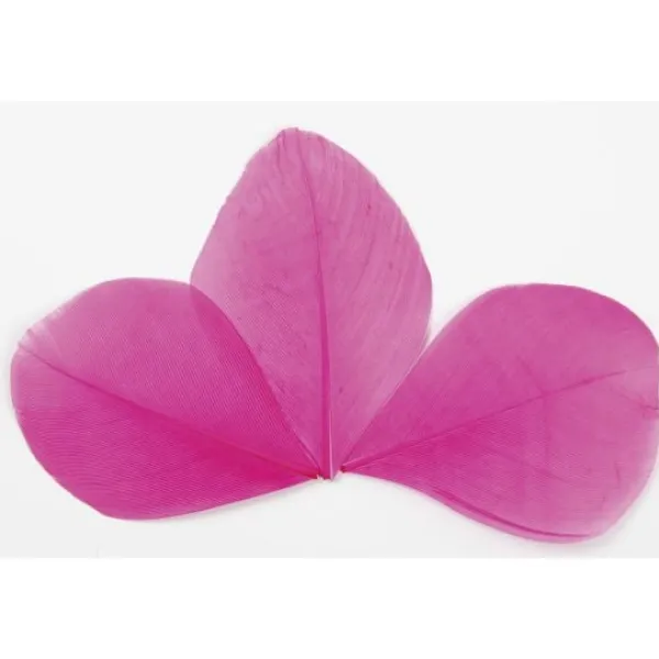 Badaboum Plume Feuille Pas Cher X 96 Pi Ces