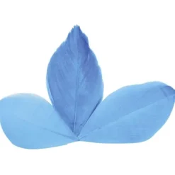 Badaboum Plume Feuille Pas Cher X 96 Pi Ces