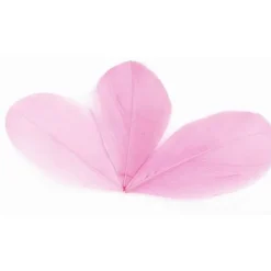 Badaboum Plume Feuille Rose X 96 Pi Ces