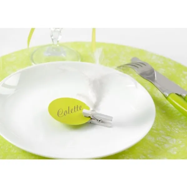 Badaboum Plume Sur Pince Blanche X 6 Pi Ces