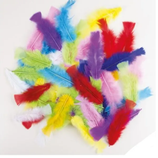 Badaboum Plumes Couleurs Al Atoires X50Pcs