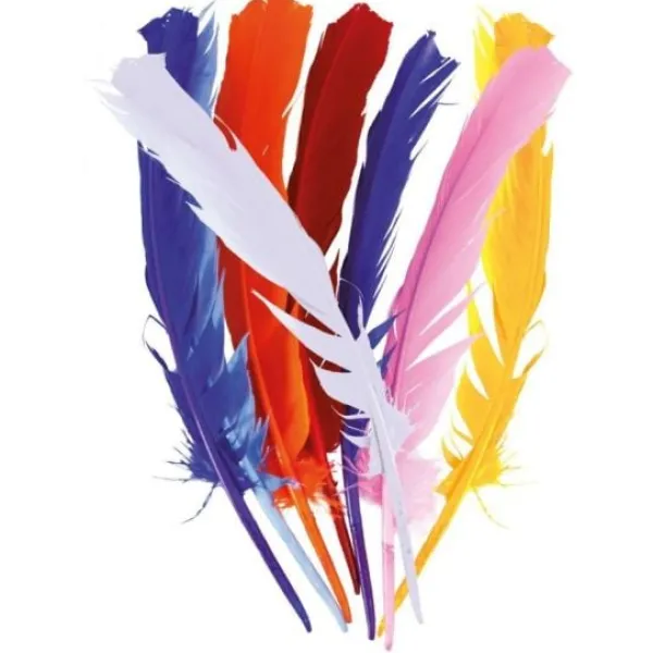 Badaboum Plumes Couleurs Al Atoires 30 Cm X12Pcs