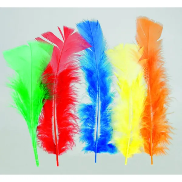 Badaboum Plumes De Dinde Assorti X10Pcs