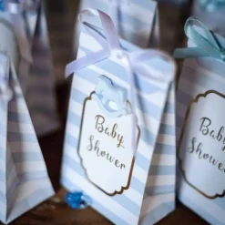 Online Pochette Cadeau Baby Shower Gar On X 10 Pi Ces Theme D Co Baby Shower