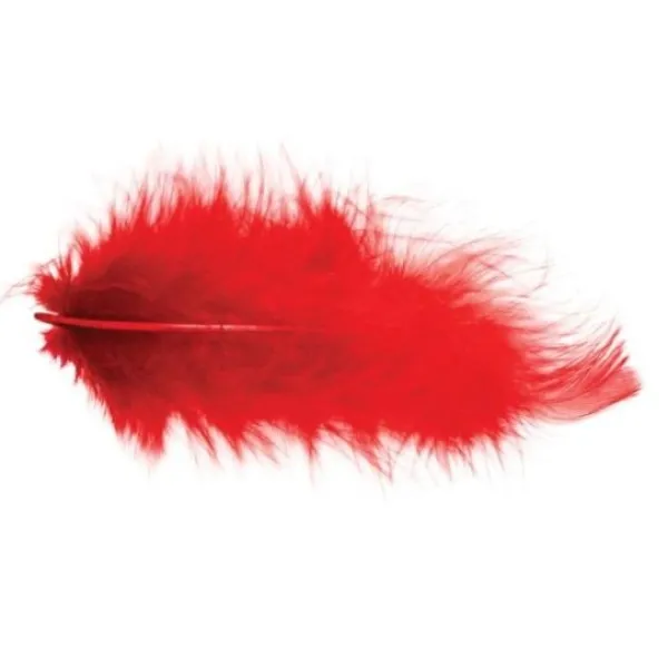 Badaboum Pochette Plumes 5-10 Cm 10G Rouge