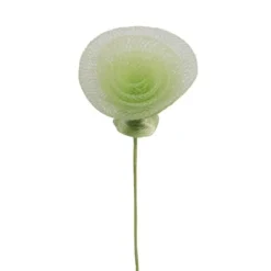 Badaboum Rose Torsad E Décorative 7 Cm X 6 Pi Ces Discount