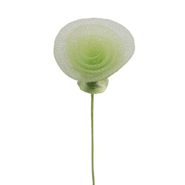 Badaboum Rose Torsad E Décorative 7 Cm X 6 Pi Ces Discount