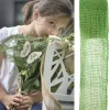 New Ruban Large En Jute Vert Anis 70Mm Theme Jute