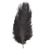 Badaboum Sachet 2 Plumes Autruche Noir 30-35 Cm