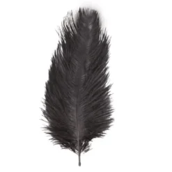 Badaboum Sachet 2 Plumes Autruche Noir 30-35 Cm