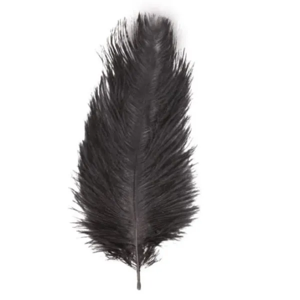Badaboum Sachet 2 Plumes Autruche Noir 30-35 Cm