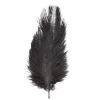 Badaboum Sachet 5 Plumes Autruche Noir 20-25 Cm