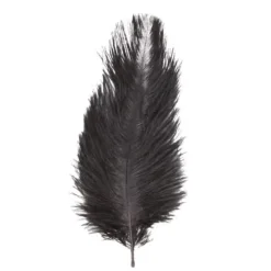 Badaboum Sachet 5 Plumes Autruche Noir 20-25 Cm