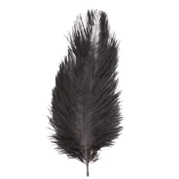 Badaboum Sachet 5 Plumes Autruche Noir 20-25 Cm