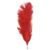 Badaboum Sachet 5 Plumes Autruche Rouge 20-25 Cm