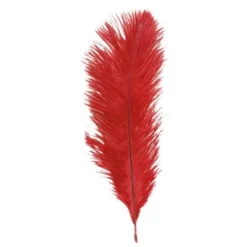 Badaboum Sachet 5 Plumes Autruche Rouge 20-25 Cm
