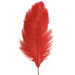 Badaboum Sachet 2 Plumes Autruche Rouge 30-35 Cm