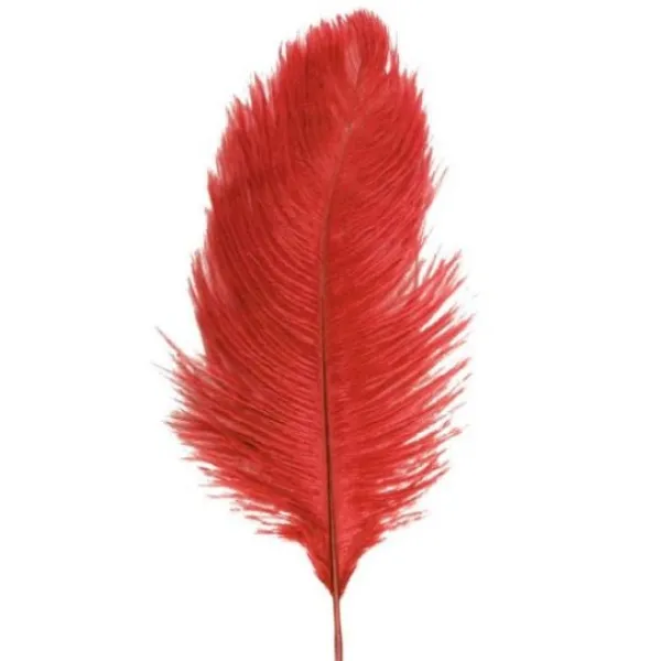 Badaboum Sachet 2 Plumes Autruche Rouge 30-35 Cm
