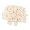 Badaboum Sachet De 100Gr De Coquillages Coques Blanc Hot