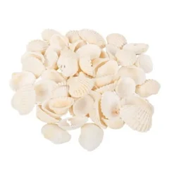 Badaboum Sachet De 100Gr De Coquillages Coques Blanc Hot