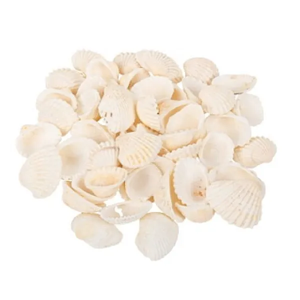 Badaboum Sachet De 100Gr De Coquillages Coques Blanc Hot
