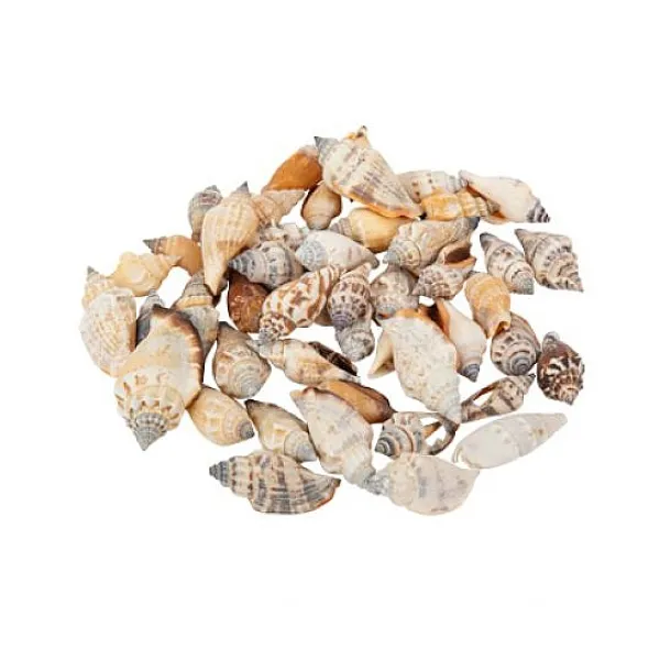 Badaboum Sachet De 100Gr De Coquillages Bigorneaux Online