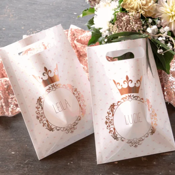 Online Sacs Anniversaire Princesse 23 Cm X10 Pi Ces Theme Deco Princesse